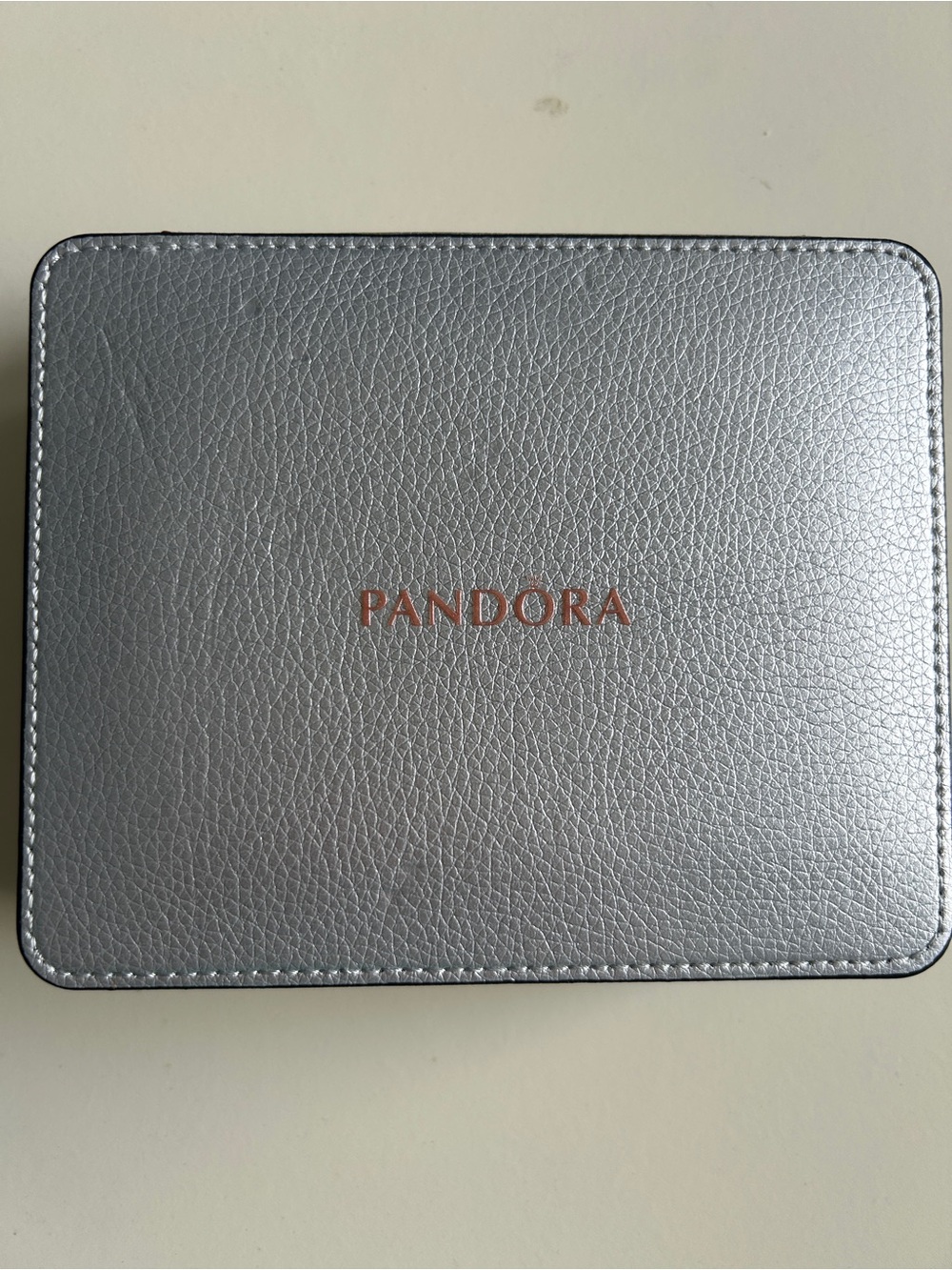 PANDORA ZIPPED JEWELRY CASE SILVER NWOT